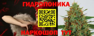 МДПВ Мариинск